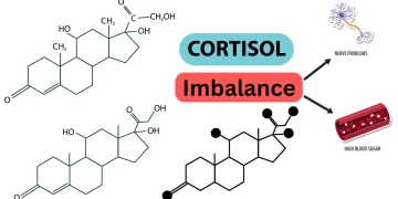 Cortisol Imbalance Article Main Image