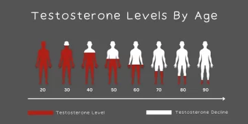 Testosterone Levels By Age Main Image