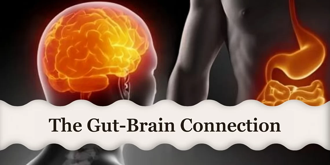 Gut-Brain connection main image