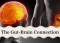 Gut-Brain connection main image