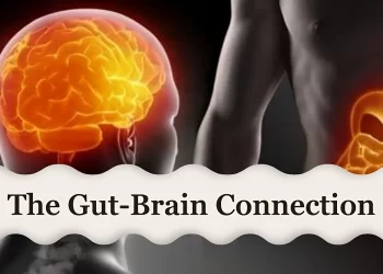 Gut-Brain connection main image