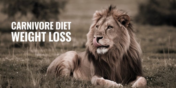 Carnivore Diet Weight Loss Main Image1