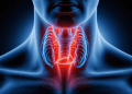 Fix Low Thyroid Main Image1