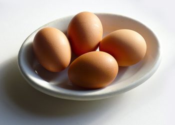 Keto Egg Rules main image