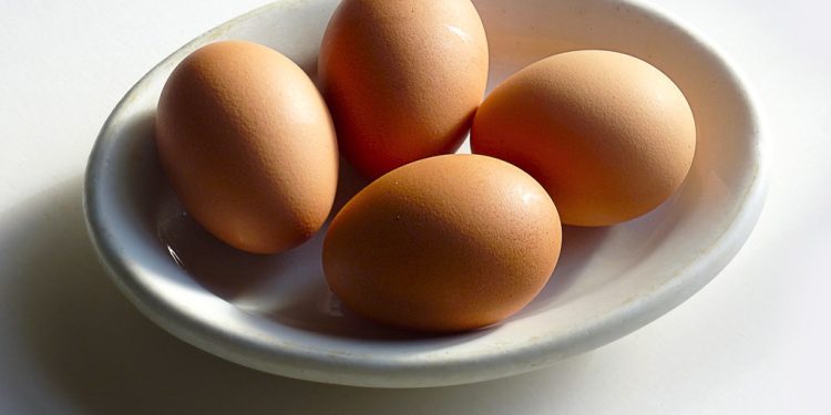 Keto Egg Rules main image